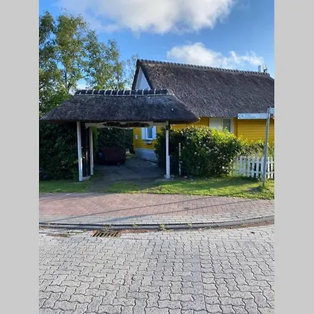 Butterblume Südbrookmerland